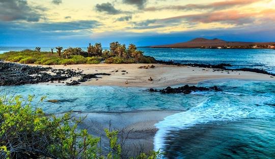 Galápagos Islands