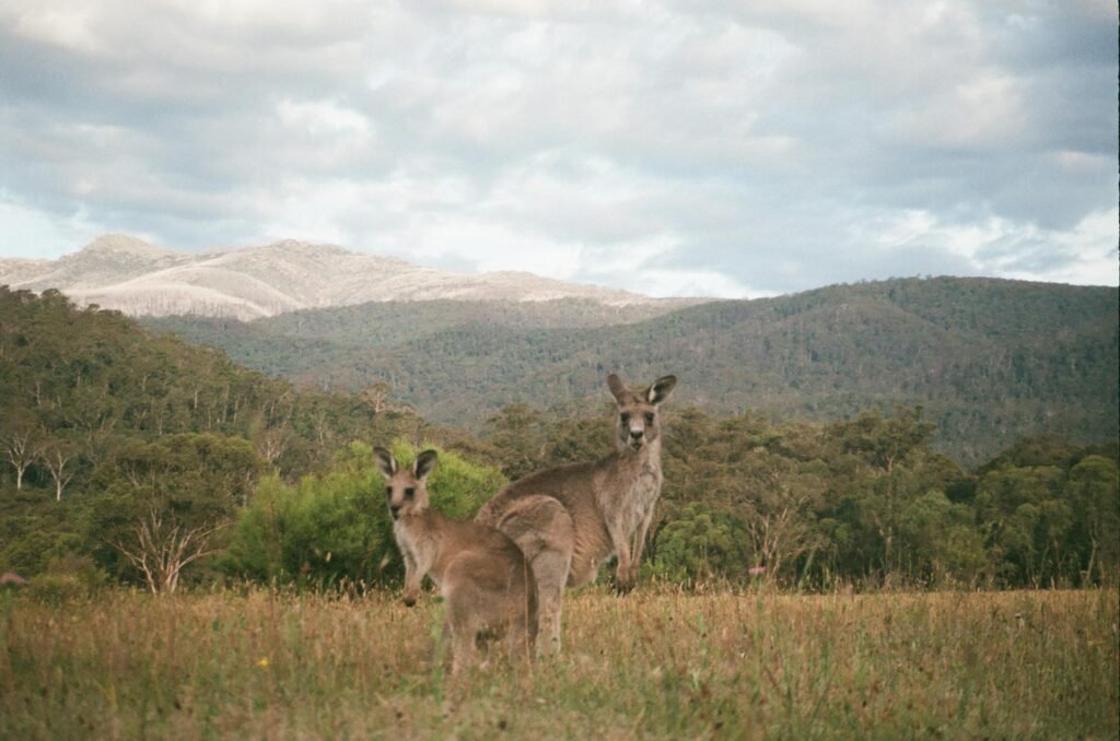 Australia