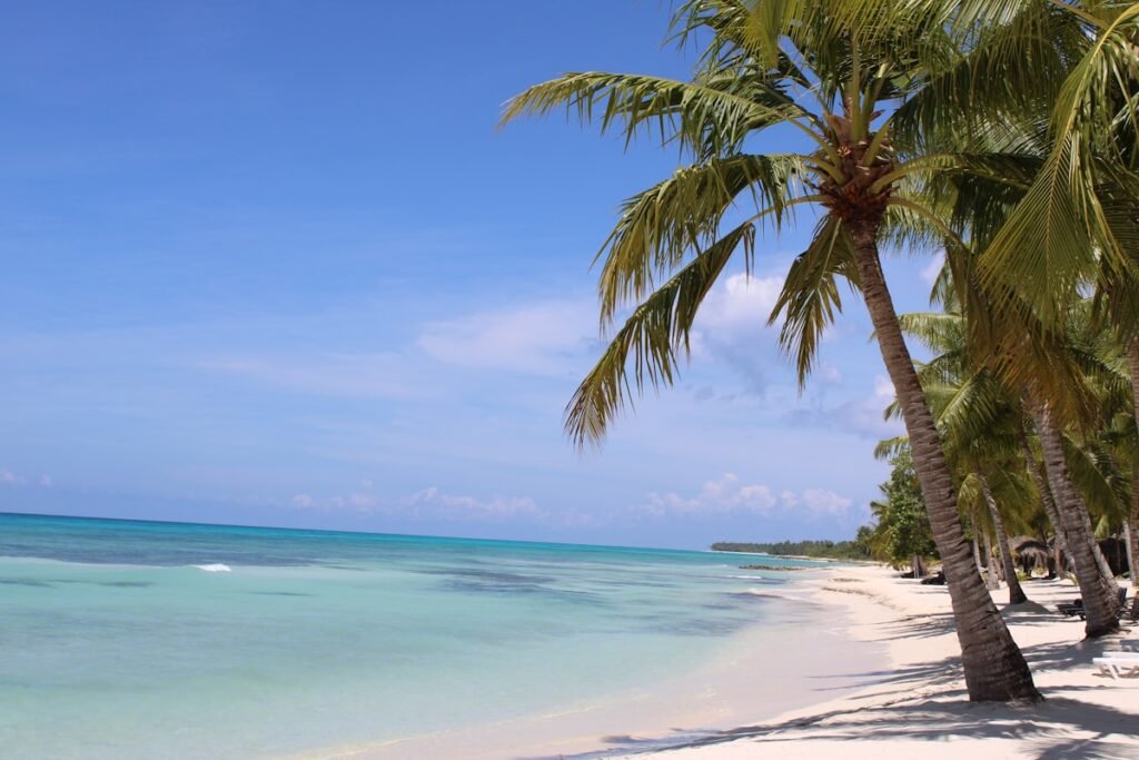 Things to Do in Punta Cana : Visit Saona Island