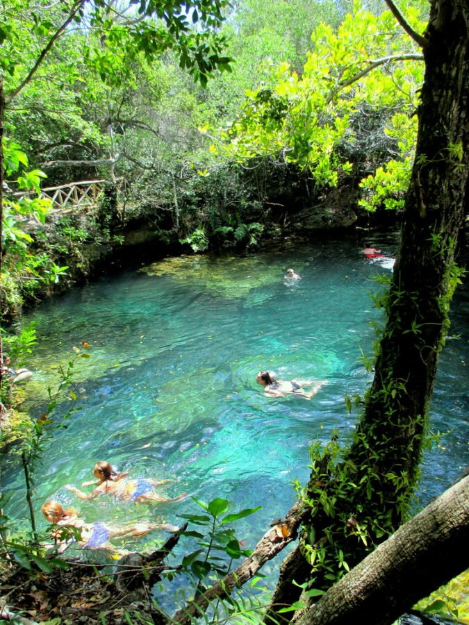 Things to Do in Punta Cana: Visit Indigenous Eyes Ecological Reserve