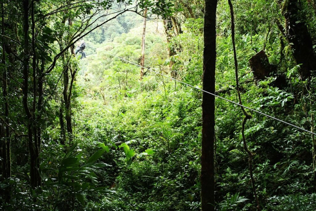 Zip Line in the Caribbean