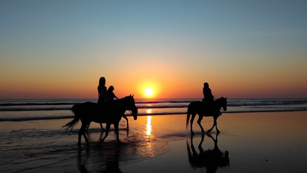 Things to do in Punta Cana: Sunset Horseback Riding in Punta Cana